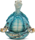 Sea Turtle Meditation