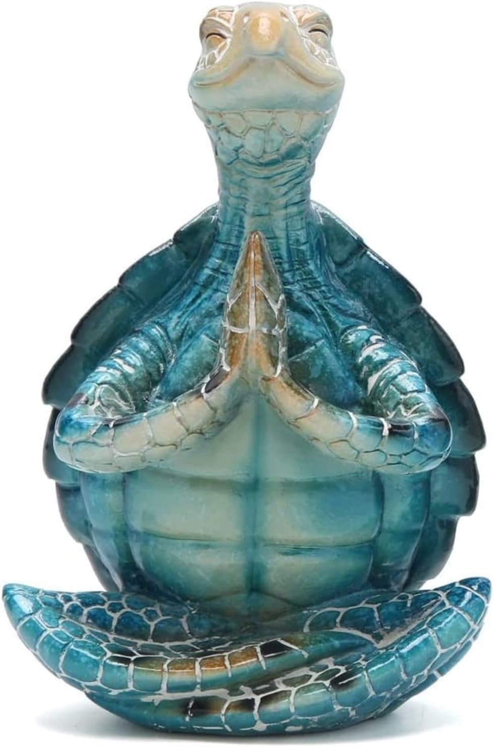 Sea Turtle Meditation