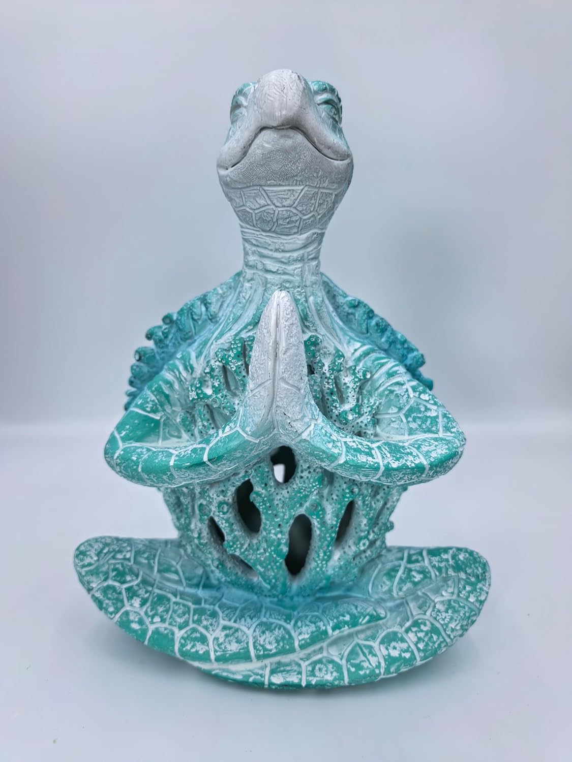 Sea Turtle Meditation