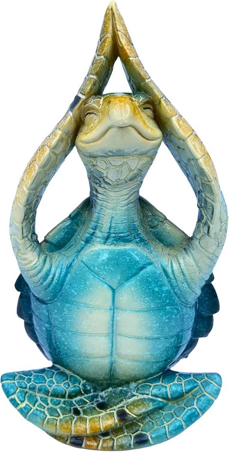Sea Turtle Meditation