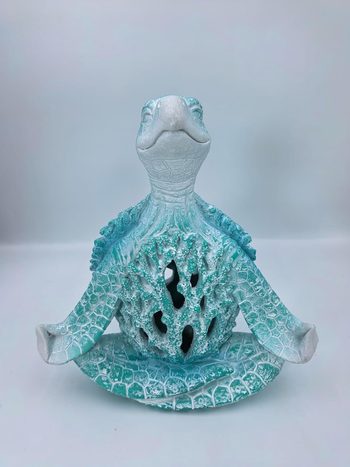Sea Turtle Meditation